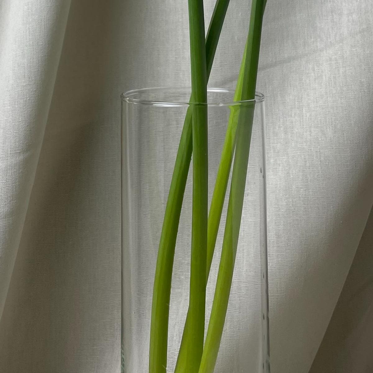 glass 002